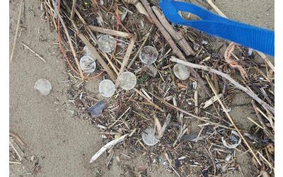 Dischetti di plastica in mare per la degradazione serviranno pi di 300 anni