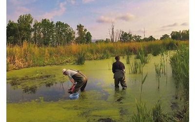 Guerre la sfida del ripristino