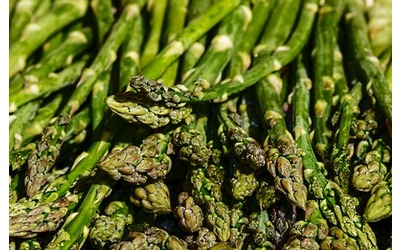 L’almanacco Barbanera di aprile 2025