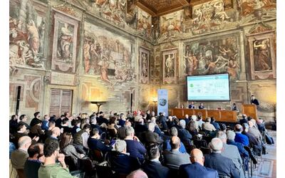La sinergia per la Transizione 5.0: una sfida che l’Italia deve vincere