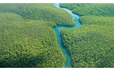 Amazzonia, stop alla moratoria sulla soia: a rischio un'area grande come il Portogallo