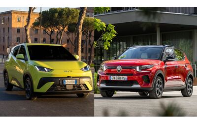 BYD Dolphin Surf vs Citroen C3 piccole a confronto versioni e prezzi