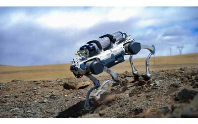 Cane robot cinese resiste al calore estremo: svolta nei soccorsi antincendio