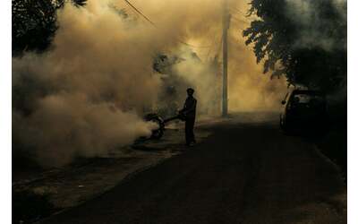 Dengue in impennata entro il 2050: quanto pesa il caldo globale
