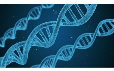 Eterna crisi per 23andMe, l'azienda di test genetici è già prossima alla vendita