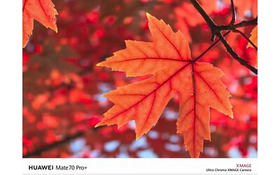 Huawei Mate 70, le fotocamere promettono colori super