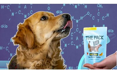 Il primo cibo per cani coltivato in laboratorio