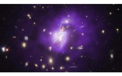 Il telescopio James Webb svela i segreti del cluster galattico Fenice