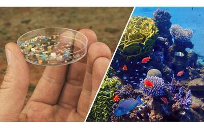 Microplastiche, uno studio propone piccole sfere intelligenti per rimuoverle