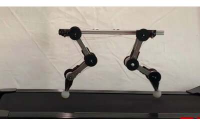 Robot senza motore imita l'andatura canina: usa solo molle e cavi