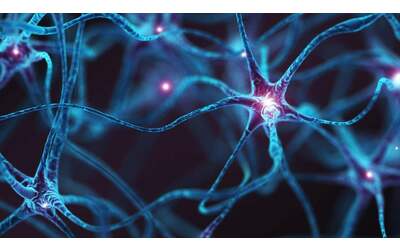 Scienziati del MIT trasformano cellule della pelle in neuroni: svolta per lesioni spinali