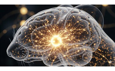 Scoperta storica: mappata lattività cerebrale durante le decisioni