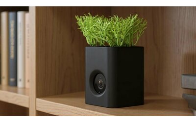 Vaso o telecamera? Ecco il nuovo gadget di Wyze