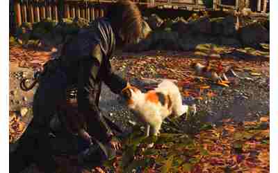 Il posto più bello di Assassin’s Creed Shadows è l’isola dei gatti: come trovarla
