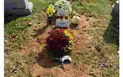 Regalo sulla tomba del padre videogiocatore il gesto che ha commosso tutti