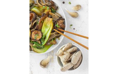 Funghi ostrica: origini, caratteristiche e ricette per gustarli al meglio