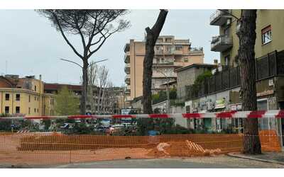Bisogna abbattere un albero per riparare la tubatura. L'ira di chi è rimasto isolato e senz'acqua