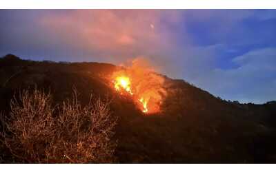 Brucia il bosco: in fiamme sette ettari di ulivi e castagni