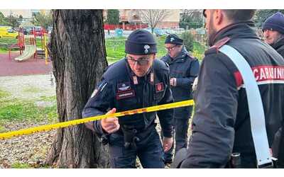 Chi era Francesca Ianni, la donna uccisa da un albero in un parco a Roma