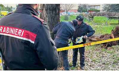 Francesca Ianni uccisa da un albero nel parco: indagato tecnico del comune
