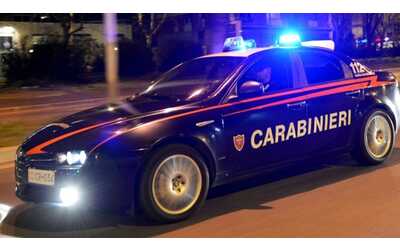 Paura nel parco: inseguito dopo aver rubato la borsetta estrae coltello. Poi si scaglia contro i carabinieri