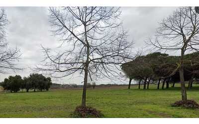 Uomo trovato impiccato nel parco