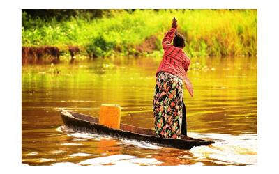 Bacino del Congo, WWF: scoperte 742 nuove specie