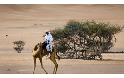 Con KIBO in Oman, tra il deserto e il mare