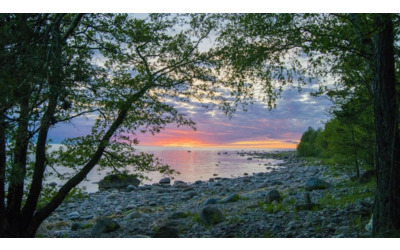 Estate in Estonia: natura, cultura e luce per un viaggio rigenerante nel cuore del Baltico