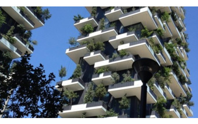 Il lusso della biodiversit ora i quartieri pi ricchi hanno pi natura