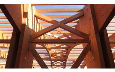Italia e Austria per la filiera del legno: avviata partnership per valorizzare il settore in Europa