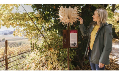 L’autunno dorato di Tirolo in Alto Adige: Törggelen, mele, castagne, vino e antiche tradizioni