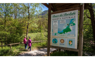 La Riserva Naturale Bosco dei Bordighi: un tesoro di biodiversità in Valtellina