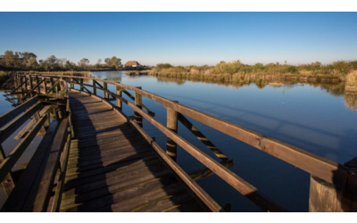 Le escursioni fuori stagione a Lignano Sabbiadoro tra natura, arte e relax