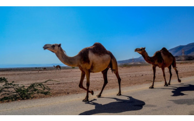 Oman, tra il deserto e il mare