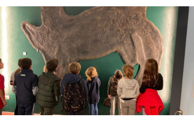 Passeggiate guidate tra le meraviglie del Museo dei Fossili Besano (VA) e del Monte San Giorgio
