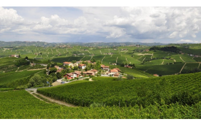 Piemont Gravel, avventura in bici a tutta natura tra Langhe, Roero e colline torinesi