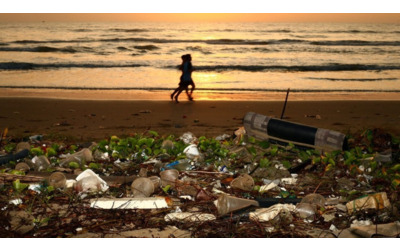 Plastic Free e Second Life un patto per combattere l inquinamento marino