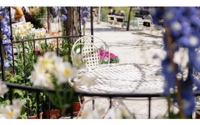 Tutto pronto per la nuova edizione del Merano Flower Festival