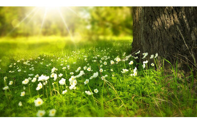 Un nuovo studio conferma ulteriormente i vantaggi ambientali del restauro dei pavimenti rispetto alla sostituzione businesswire