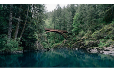 Yankee Doodle da Boston a Washington passando per New York City In treno